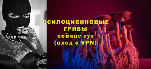 трава Беломорск
